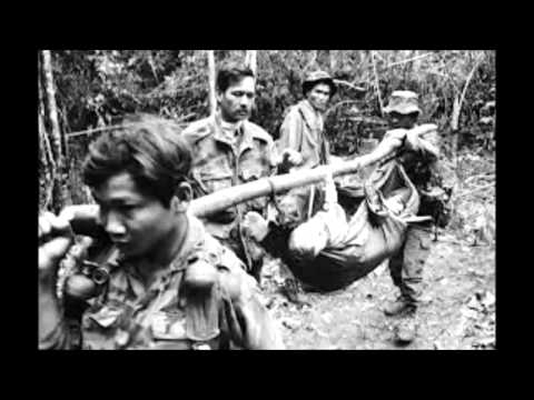 Perang Vietnam