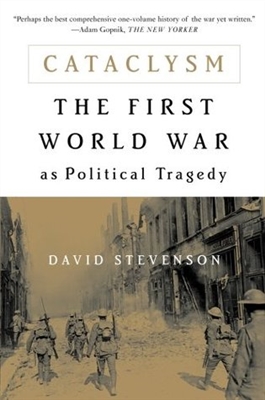 Pirmasis pasaulinis karas: šimtmečio pradžios tragedija