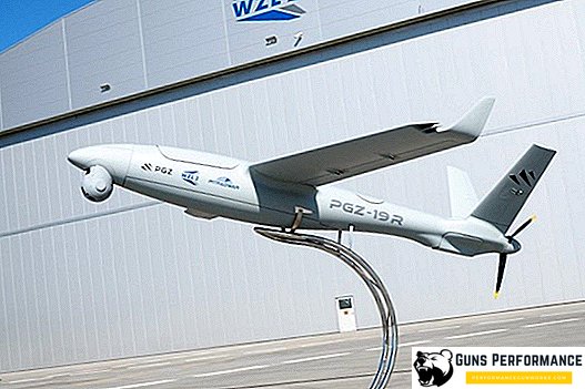 पोलैंड ने 40 सामरिक मानव रहित हवाई वाहनों "ऑर्लिक" का आदेश दिया