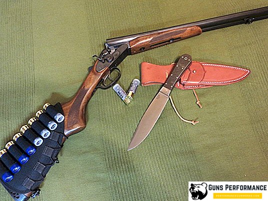 The budget rifle - IZH-43