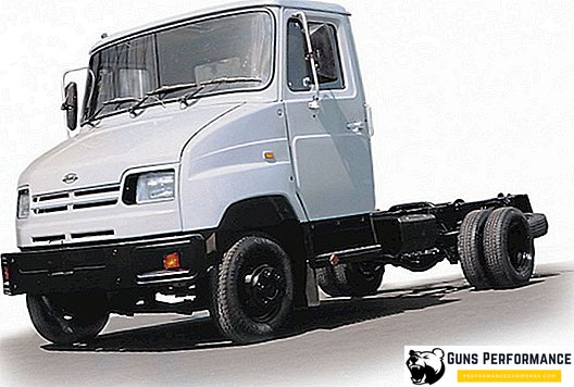 ZIL -5301 "Bull-calf", history of appearance, its advantages and disadvantages