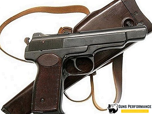 Stechkin automatisk pistol (APS)