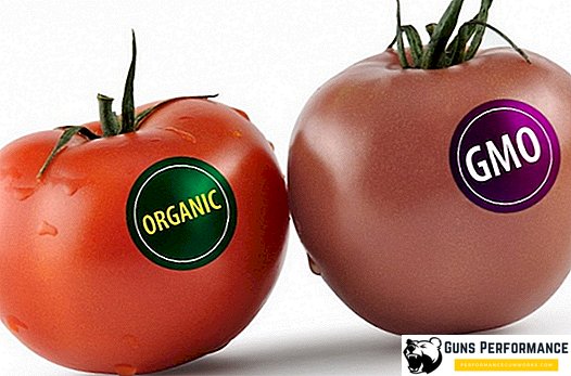 GMO: kebenaran dan mitos tentang produk rekayasa genetika