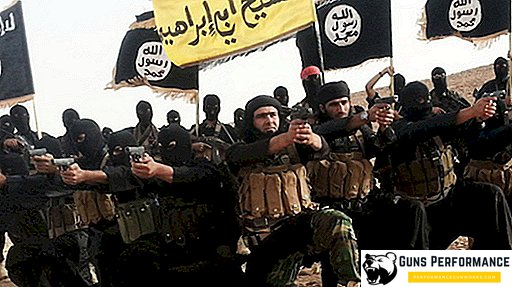 Islamisk stat (ISIL): historia, ekonomi, mål och metoder för kamp