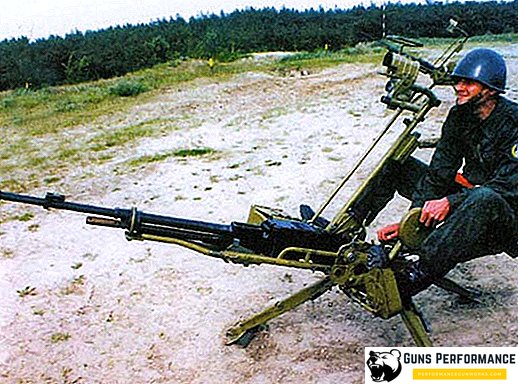 Крупнокаліберний кулемет НСВ "Скеля"