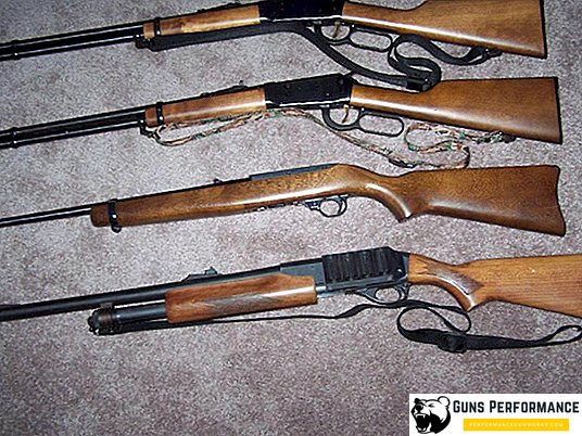 Lovske puške: zgodovina razvoja od stenjskih žarkov do sodobnih modelov
