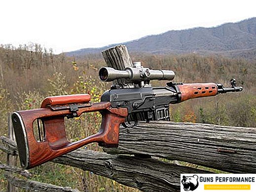 Hunting carbine "Tiger" - a detailed review of the rifle