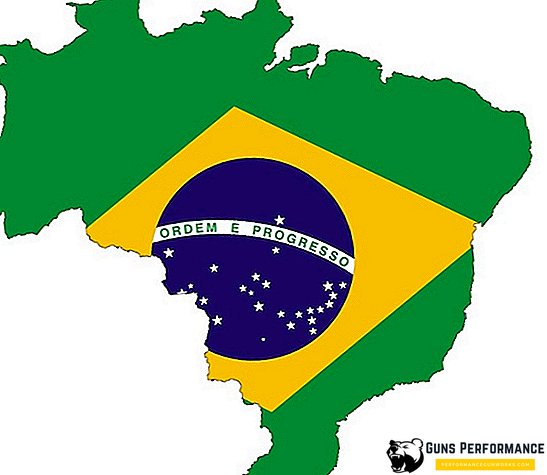 נשיאי ברזיל והמאבק לעצמאות