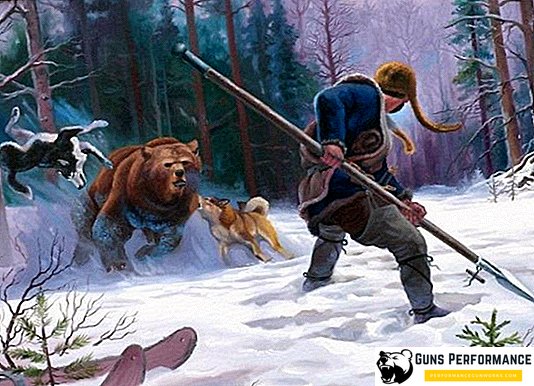 Osos con cuernos en un oso: lo que era y permanece para los cazadores rusos