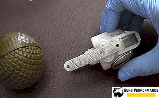 RGO manual fragmentation grenade: history, description, features