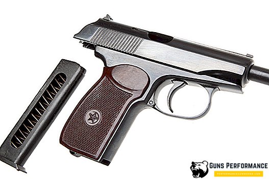 Trauminis pistoletas PMR - visa tai apie dizainą ir funkcijas