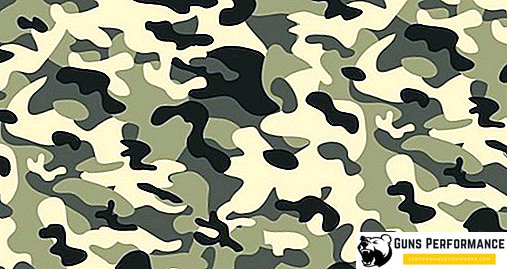 Vinter og sommer camouflage: hvordan militære tøj blev vant i hverdagen